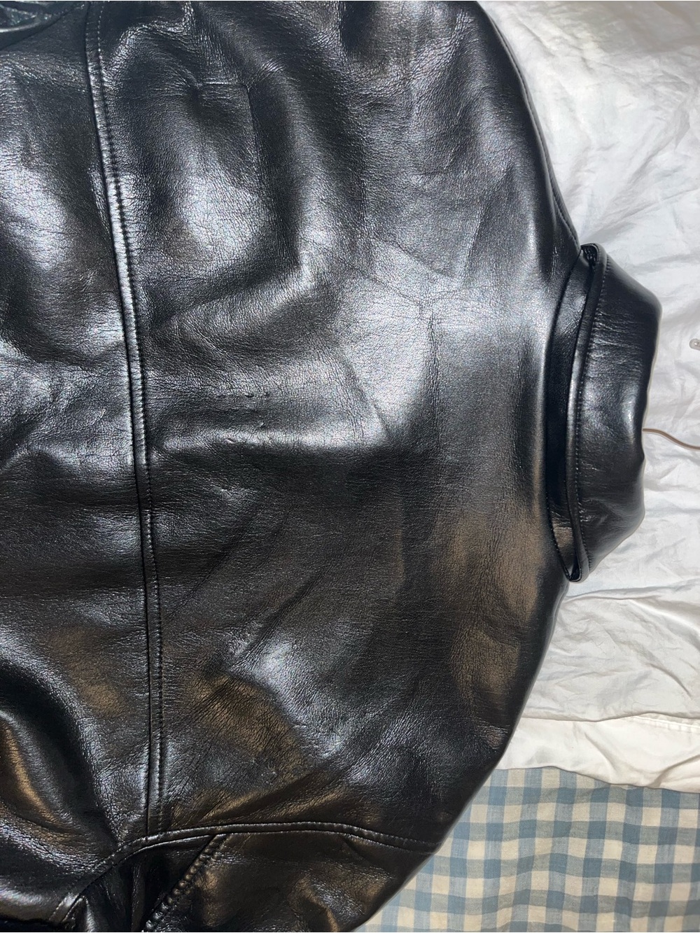 Aritzia Falcon Jacket - UnReal Leather - Picture 6 of 6